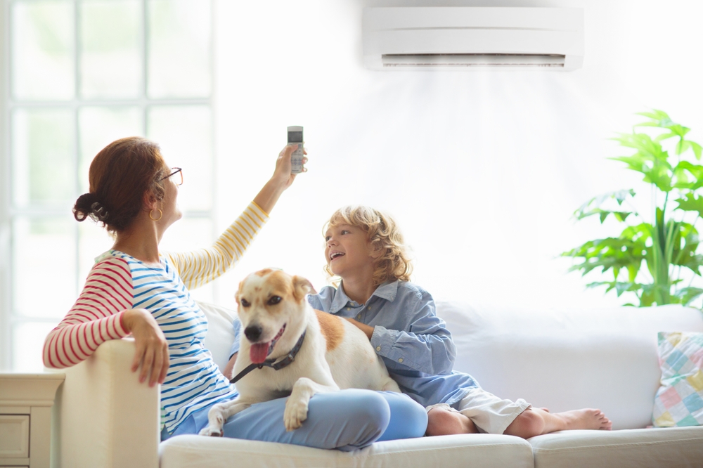 Mother,And,Child,With,Air,Conditioner,Remote,Control.,Comfortable,Temperature https://www.rocklyncharterenergy.com/wp-content/uploads/Perillo_Save_this_Summer.jpg